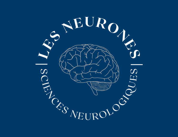 Les Neurones